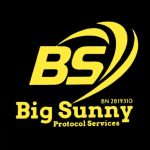 cropped-big-sunny-protocol-services.jpeg